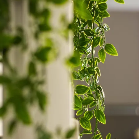 Appartamento Domus Eroi