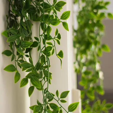 Appartamento Domus Eroi